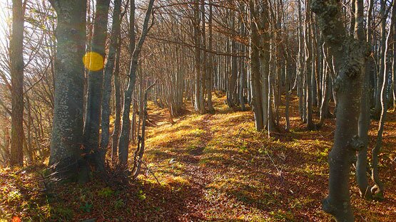 “Hochplatte“